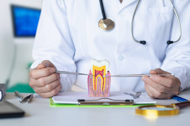 Best Emergency Treatment for Dental Infections or Abscesses in Robertsville, NJ